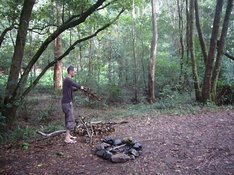 Forest goes Bushman